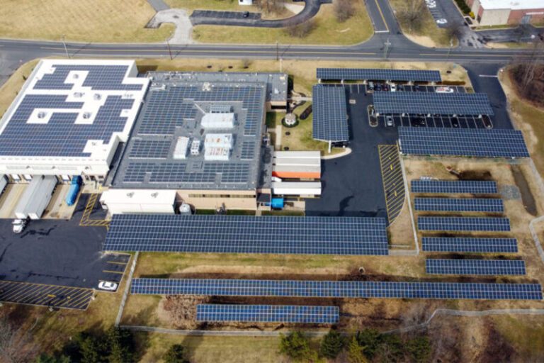 Read more about the article Solar EPC takes a holistic approach to greening buildings