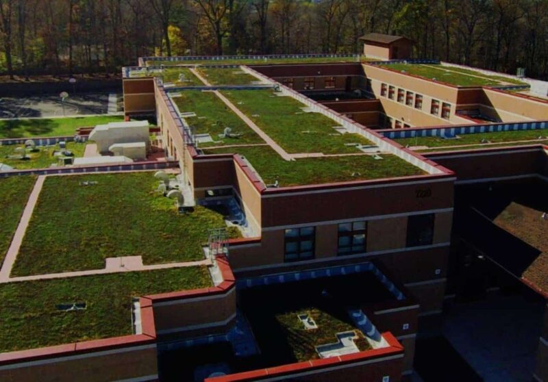 You are currently viewing Local Law 92 and 94 | New York Sustainable Roof