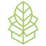 leaf icon